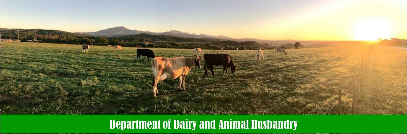 Dairy and Animal Husbandry